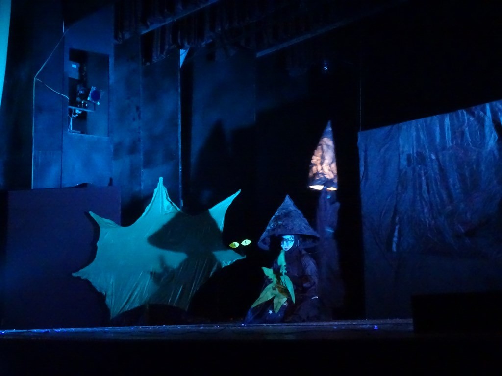 crea spectacle tournée alliances françaises international mirko