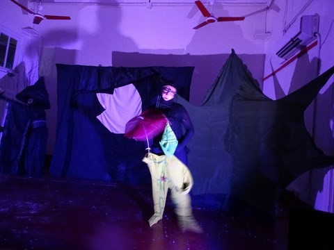 crea spectacle tournée alliances françaises international mirko